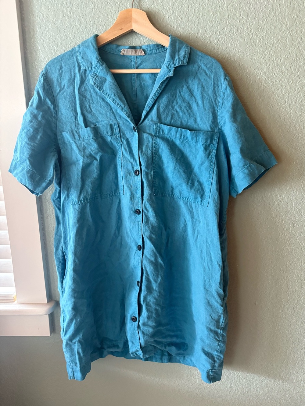 Everlane Shirt Dress